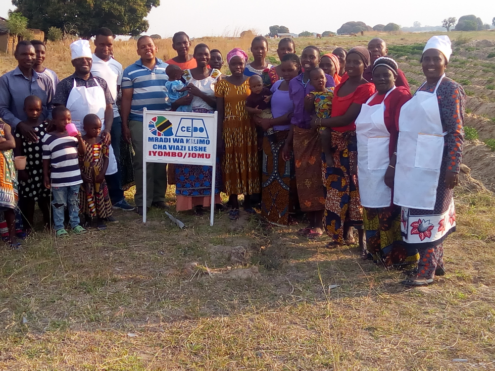 Group involved in production of orange fleshed sweet potatoes