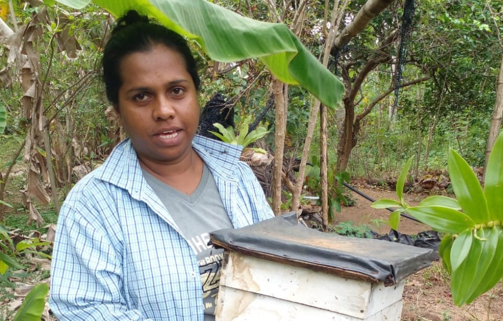 Woman farmer with beehive