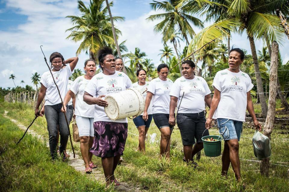 Mangaba pickers