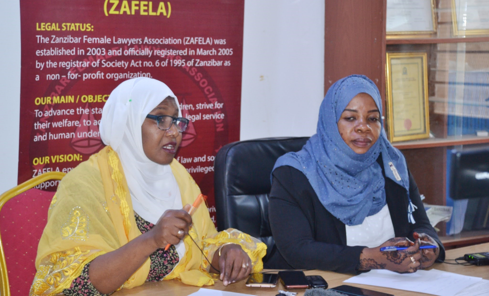 Press conference to introduce the ZAFELA GBV database system