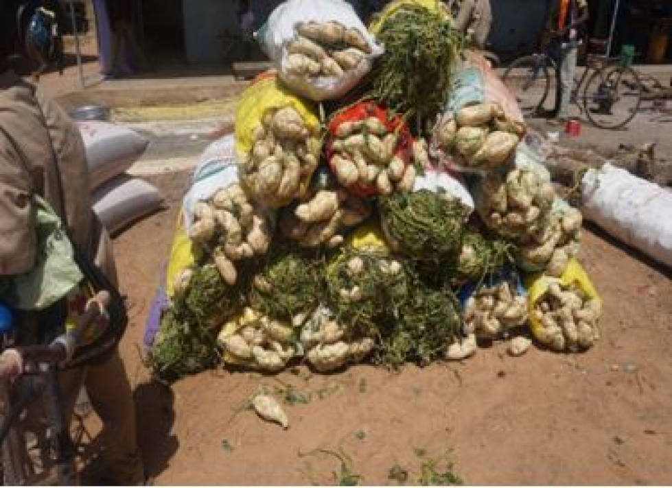 Des sacs de patate douce exposés au marché de Bissiga