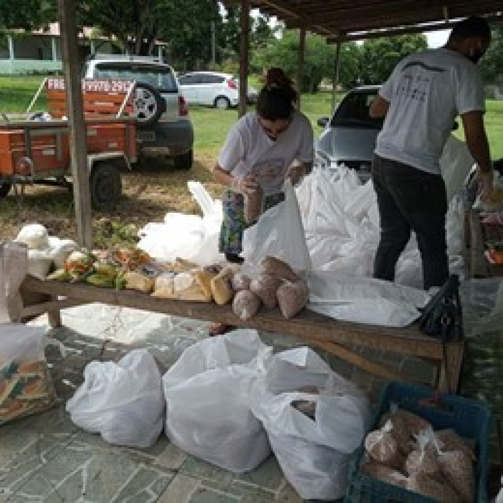 Distribuição dos alimentos