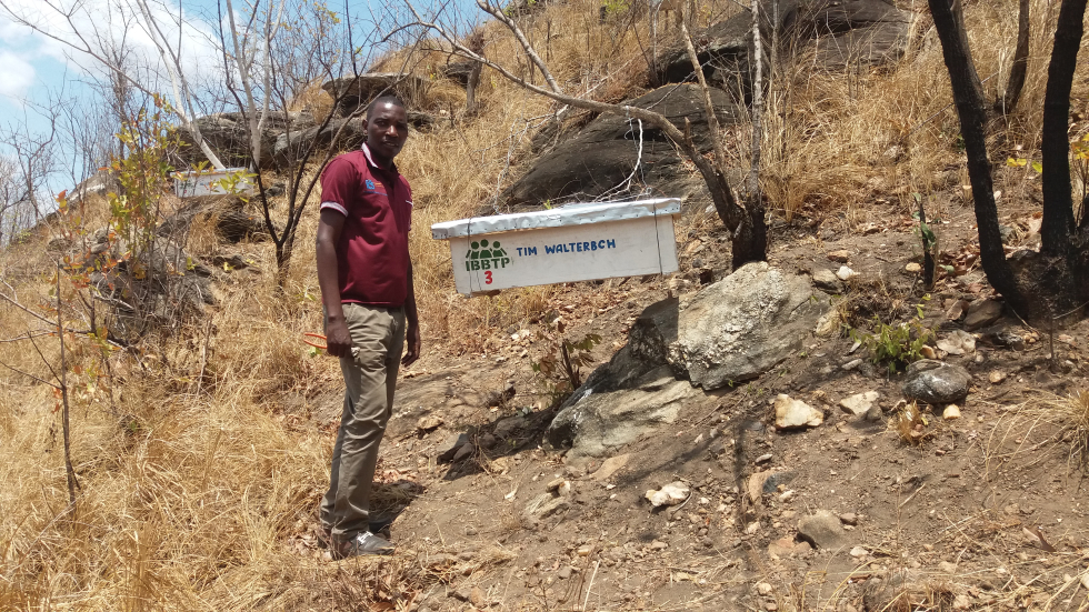 El Sr. Leonard Kitindi mostrando una de las colmenas instaladas en la granja apícola de Mkundi