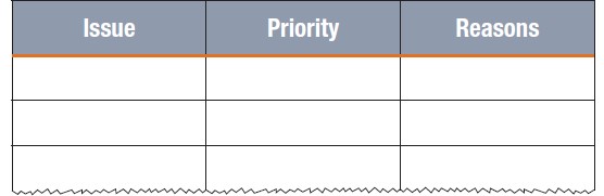 Matrix to prioritize issues